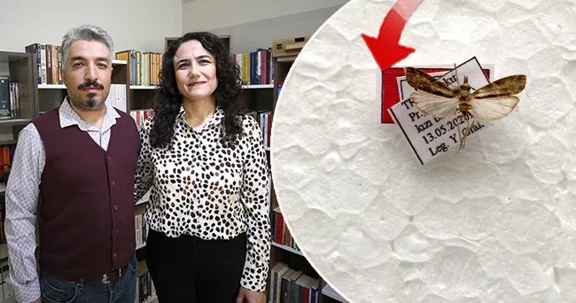 İlk kez Diyarbakır da bulundu: Işık tuzağıyla yakalandı! Keşfedilen bu türe eşinin adını verdi: En büyük destekçimdi, teşekkür etmek istedim