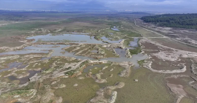 İzmir de barajlar kuruyor, kritik eşik aşıldı: Önümüzdeki yaz daha tehlikeli olacak!