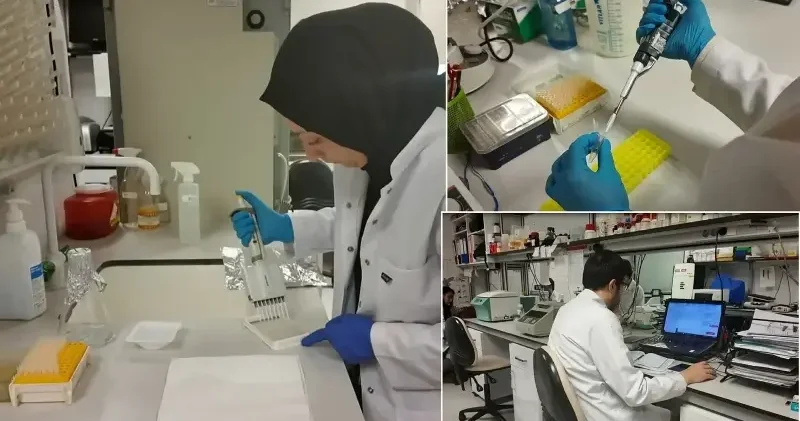 KKKA için yerli aşıda kritik eşik aşıldı: Klinik öncesi süreç başarıyla tamamlandı Sağlık Haberleri