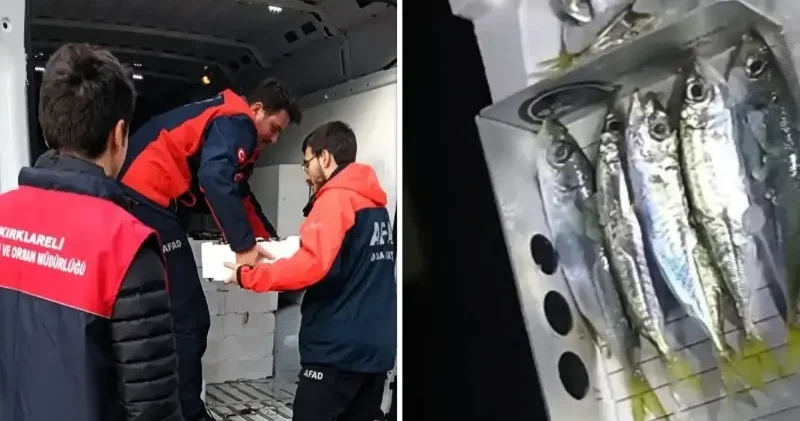 Küçük boyda avlanan 307 kasa istavrite el konuldu: İhtiyaç sahibi ailelere verildi Kırklareli Haberleri