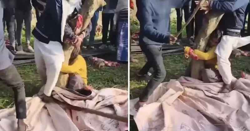 Uygunsuz halde yakaladıkları evli kadın ile din adamını sopayla dövüp kayda aldılar