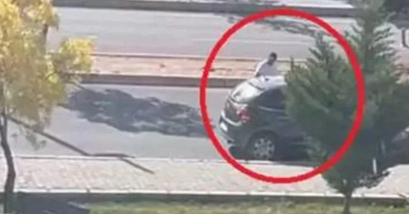 Üniversitede kadını katleden katil tüfeği internetten satın almış Sözcü Gazetesi