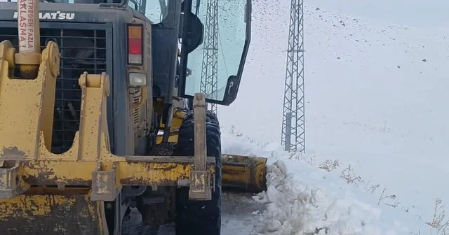 Erzurum ve Kars ta kar yağışı nedeniyle 66 yerleşim yerinin yolu kapandı Erzurum Haberleri