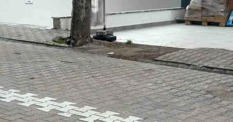 Kargo Poşetinde 60 Bin Dolar Bulundu