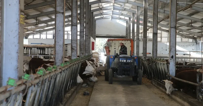 Devletten aldığı 1 milyon liralık hibeyle dev bir çiftliğin sahibi oldu