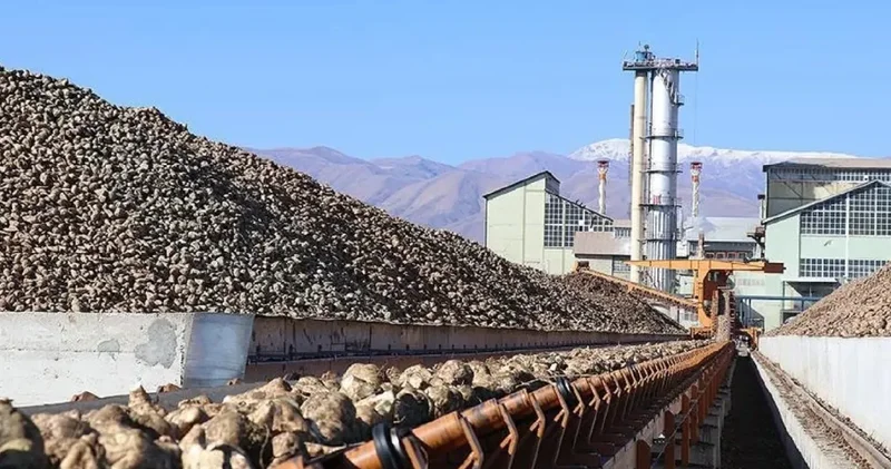Cumhuriyet mirası şeker fabrikaları özelleştirince çukura saplandı