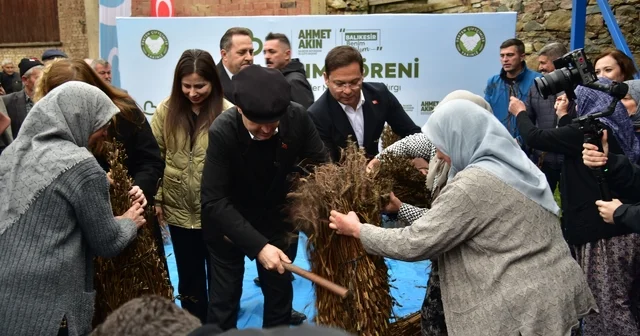 Balıkesir de susam üreticisine büyük destek: Alım fiyatı 155 TL ye yükseldi Balıkesir Haberleri