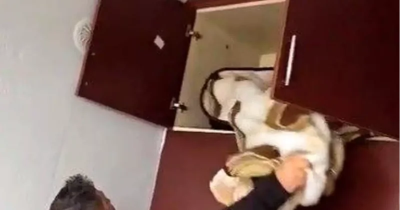 49 Suçtan Aranan Şahıs Konya da Yakalandı