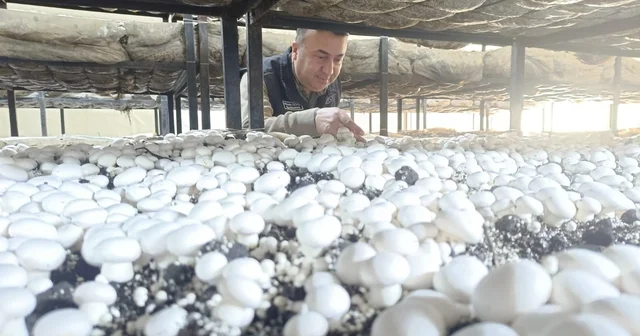 Beyşehir den kısa kısa Konya Haberleri