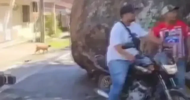 Yamaçtan kopan dev kayaların altından kalmaktan saniyelerle kurtuldular: O anlar kamerada VİDEO İZLE