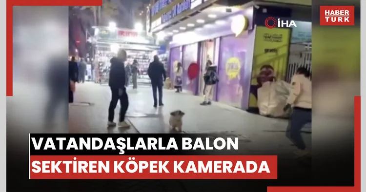 Vatandaşlarla balon sektiren köpek kamerada