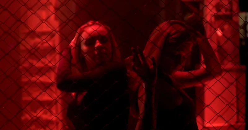 Fransa yı karıştıran tasarı: Genelevler yeniden açılsın Sözcü Gazetesi