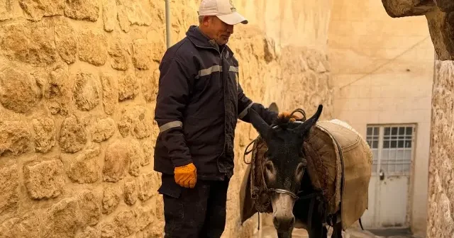 Mardin’de kentin sembolü haline gelen ‘kadrolu eşekler’ emekliye ayrılıyor VİDEO İZLE