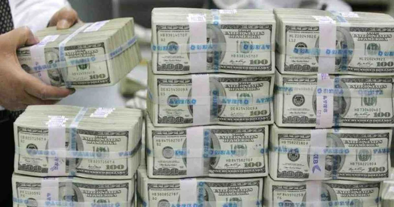 Döviz borcu nedeniyle batan şirketlere 1 yıl süre tanındı