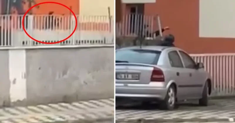 Bartın da İntihar Girişimi