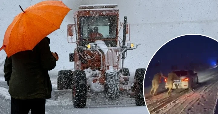 Dikkat! Meteoroloji bölge bölge uyardı: Kar, kuvvetli sağanak, pus, sis, buzlanma...