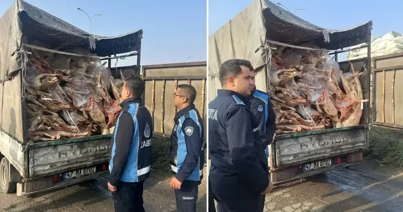 Gaziantep’te 1 ton 900 kilo bozuk et imha edildi Gaziantep Haberleri