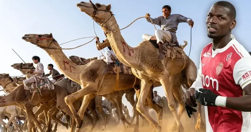Pogba yatırımı deveye yaptı Futbol Haberleri