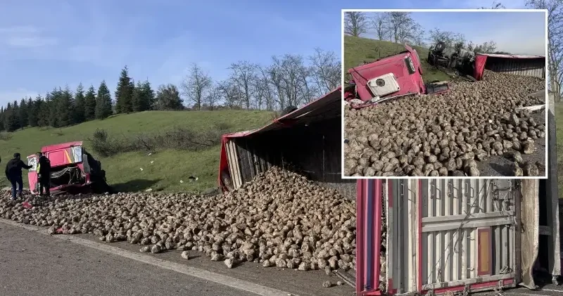 Bursa da tırın emniyet şeridindeki araçlara çarptığı kazada 4 kişi yaralandı Bursa Haberleri