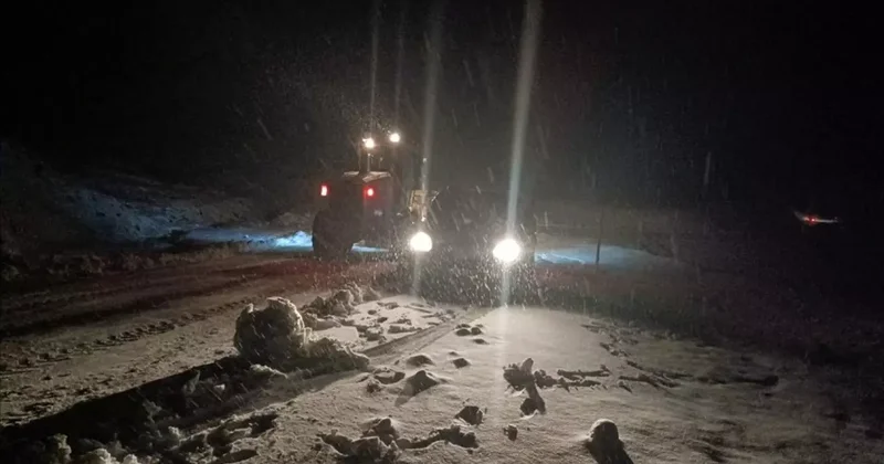 Muş ve Kars ta kar hayatı olumsuz etkiliyor