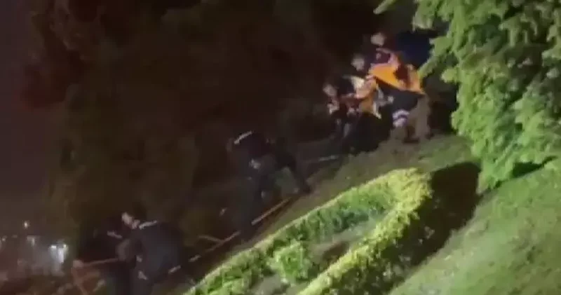 Zeytinburnu nda devrilen ağacın altında kalan kişi hastaneye kaldırıldı
