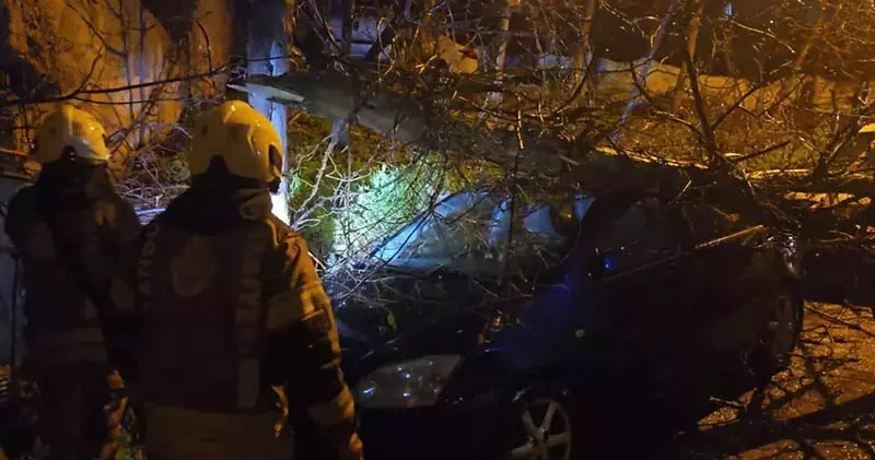 Beykoz da fırtınada devrilen ağaç 2 otomobilin üzerine düştü