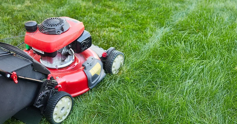 Cebine giren 6.6 milyar TL yi çim biçme makinesiyle kutladı Sözcü Gazetesi