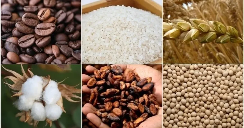 Emtia fiyatlarını jeopolitik riskler belirledi