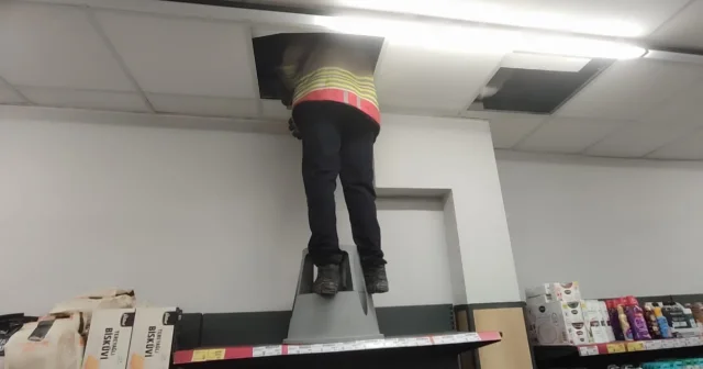 Havalandırma boşluğunda mahsur kalan kedinin itfaiye tarafından kurtarılma anı kamerada VİDEO İZLE