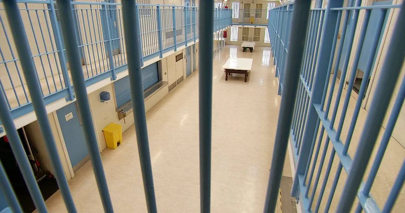 Cezaevinden çıkanların kaçı yeniden suç işliyor? Bakanlık kaynakları korkunç oranı açıkladı!