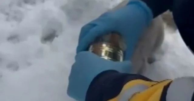 Elazığ da başı konserve kutusuna sıkışan kediyi sağlık ekipleri kurtardı VİDEO İZLE