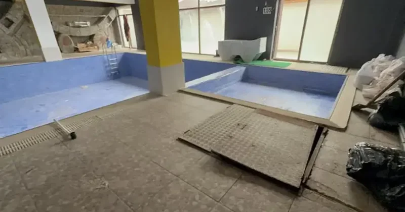 Babasını öldürüp havuzun deposuna gömmüştü! Korkunç cinayetin detayları ortaya çıktı