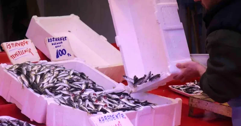 Hamsi Yok, İstavrit Var