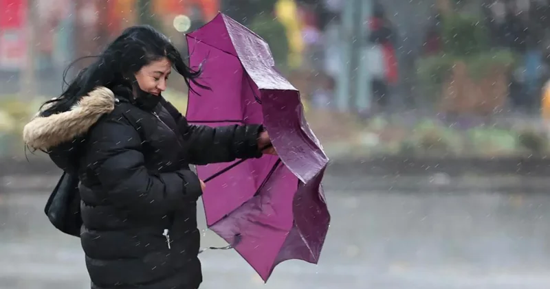 İstanbul’un fırtına bilançosu: 23 çatı uçtu, 28 ağaç devrildi, 80 su baskını yaşandı, hava ve deniz ulaşımı aksadı!