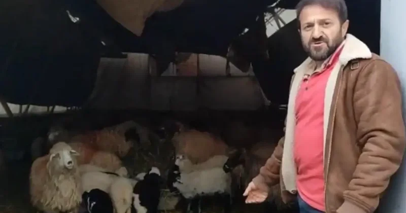 Trabzon’da ilginç görüntüler