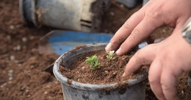 Bilecik te park ve bahçelerden bahara hazırlık Bilecik Haberleri