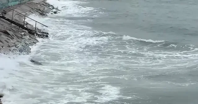 Tekirdağ’da deniz ulaşımı normale döndü VİDEO İZLE