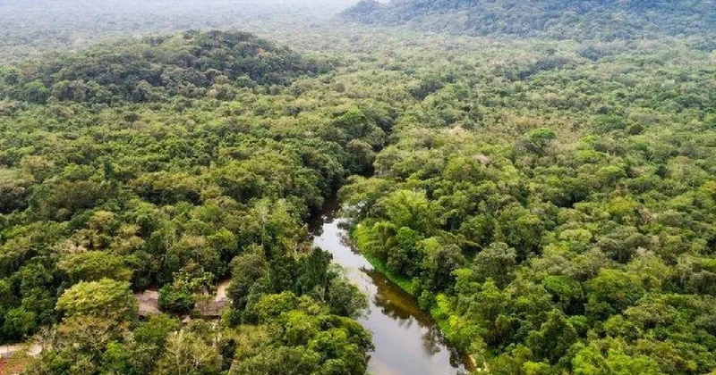 Dünyanın en uzun yaratığı bulundu: Bir ineği tek hamlede yutabilir Sözcü Gazetesi