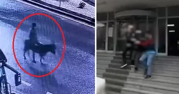 Forkliftle soygun yapıp eşekle kaçmıştı: İfadesi ortaya çıktı