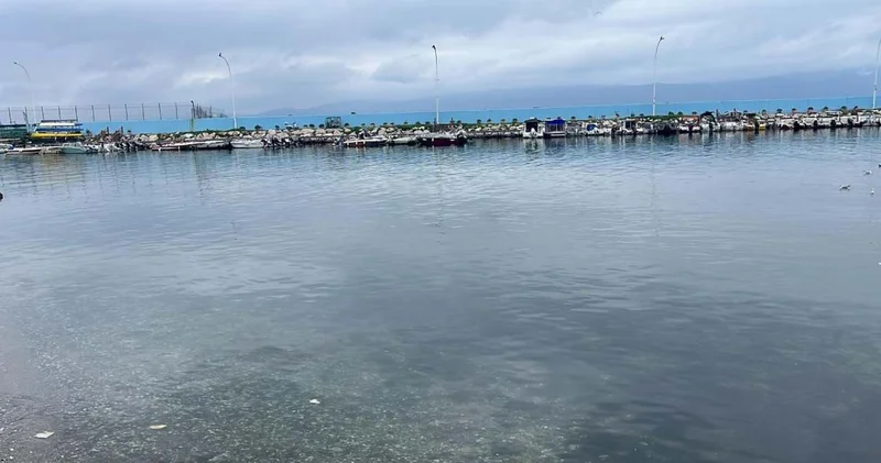 5 yaşındaki çocuğun ölümünde anneden kan donduran itiraf: Ölmek istiyorum dedi denize ittim