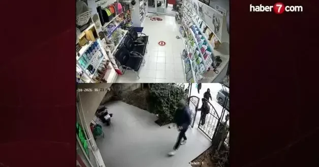 İstanbul da bir grup çocuk, veteriner kliniğine torpil atıp kaçtı