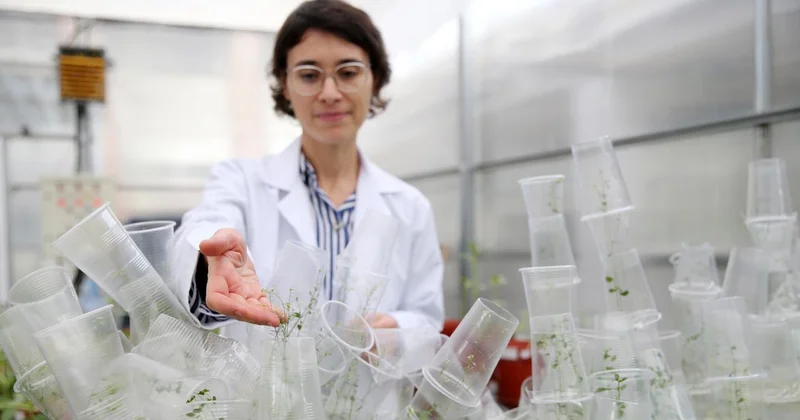 Türk bilim kadını deneyleriyle uzay biyolojisine katkı sunuyor