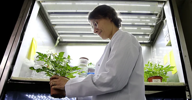 Türk bilim insanından uzayda tarım hamlesi! Ay ve Mars toprağında bitki yetiştiriyor