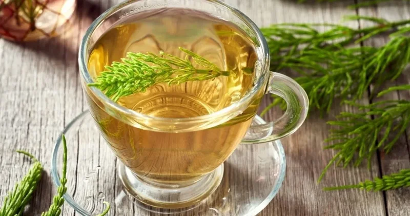 Böbrek Taşı Olanlar İçin Uzmanların Önerdiği Bitkiler Açıklandı