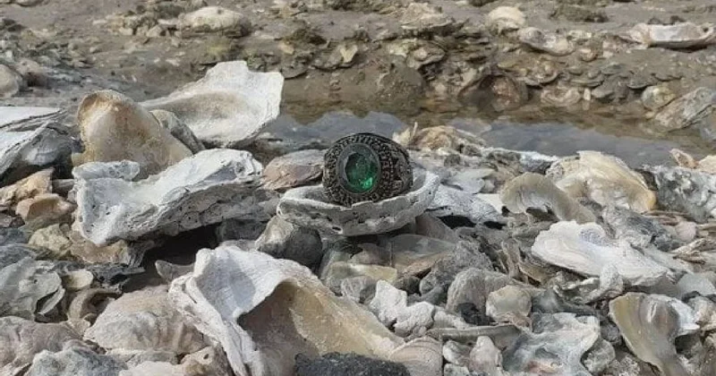 7 kasırga ve 5 fırtınaya direndi: Kayıp hazine 44 yıl sonra bulundu Sözcü Gazetesi