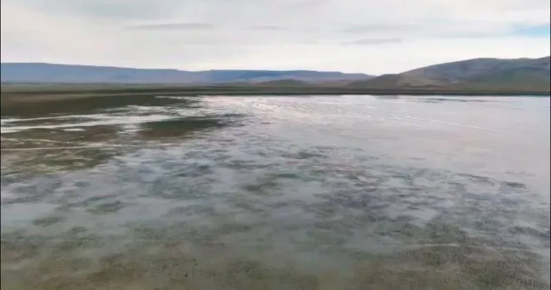 Kuruyan Çavuşçu Gölü, yeniden su tutmaya başladı