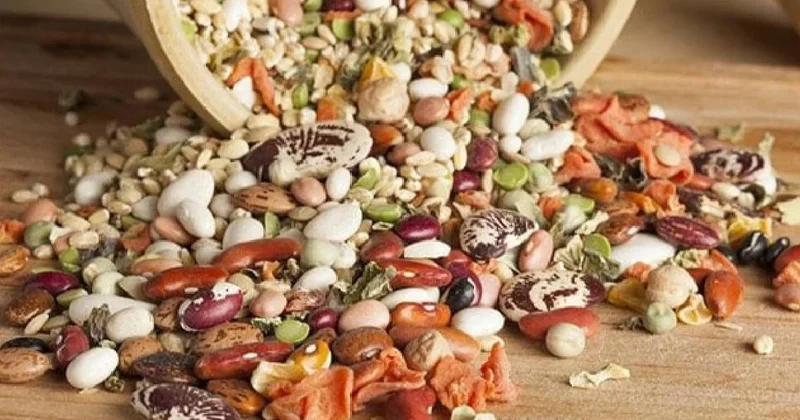 Proteinin fazlası değil dengesi önemli Sözcü Gazetesi