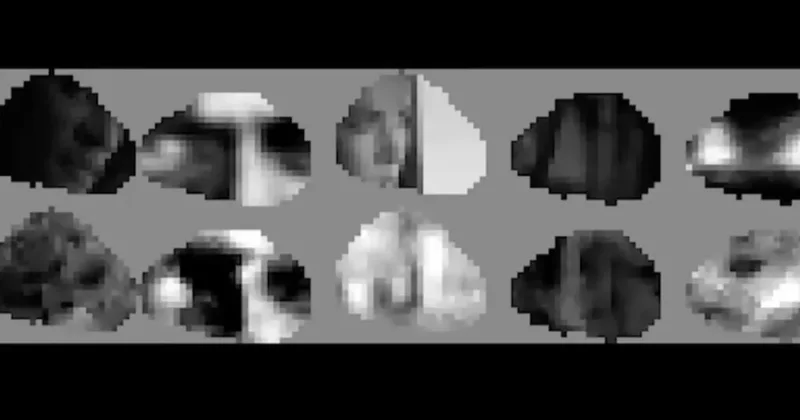 Fareler işte böyle görüyormuş Sözcü Gazetesi