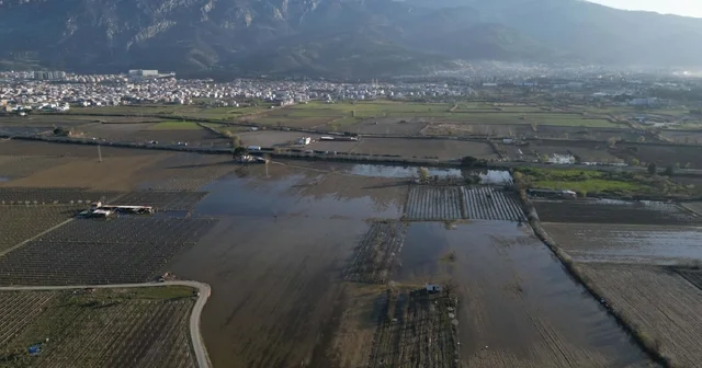 Manisa da taşkın sonrası su içinde kalan Gediz Ovası normale döndü Manisa Haberleri