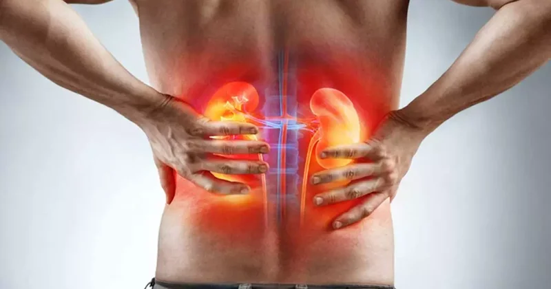 Üroloji uzmanı uyardı: İhmal etmeyin, böbrek kaybına yol açıyor